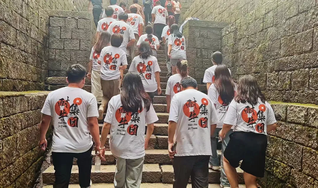 ͼƬ16.png ͼƬ16.png