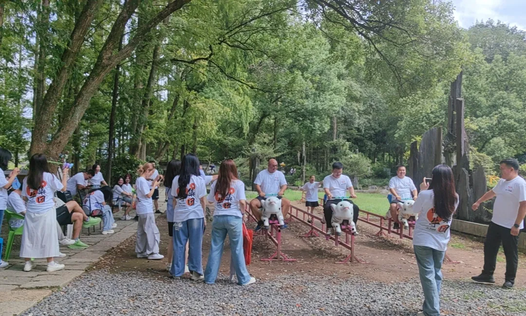 ͼƬ15.png ͼƬ15.png